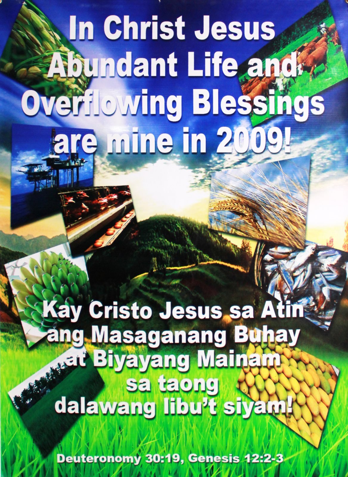 Battle Cry 2009 declaration tarp