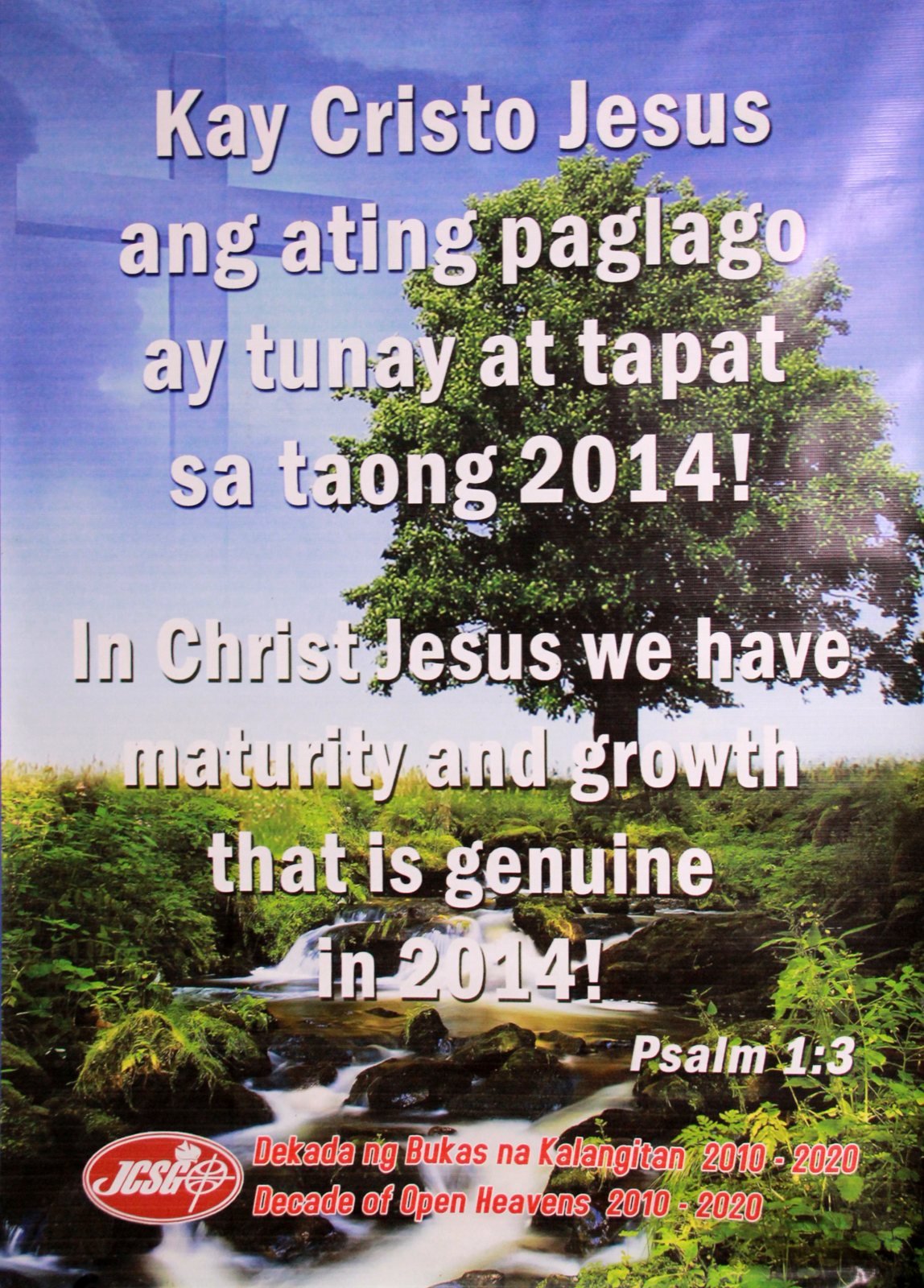 Battle Cry 2014 declaration tarp